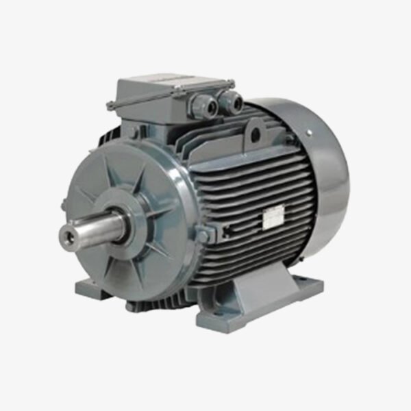 4 KW 3000 DD MOTOR